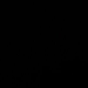 Meet your Posher, Esmaily